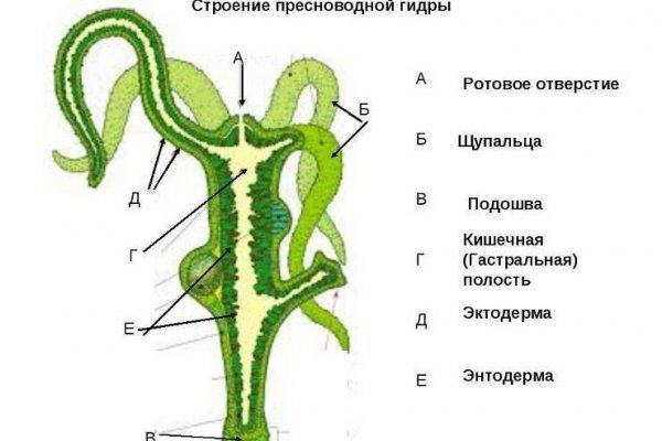Кракен супернет плейс