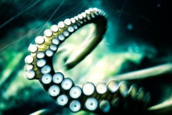 Kraken ссылка tor официальный сайт