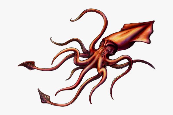 Kraken cc ссылка