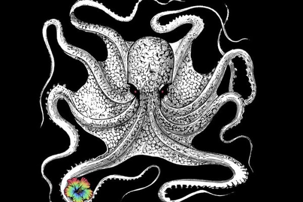 Kraken официальный сайт ссылка через tor