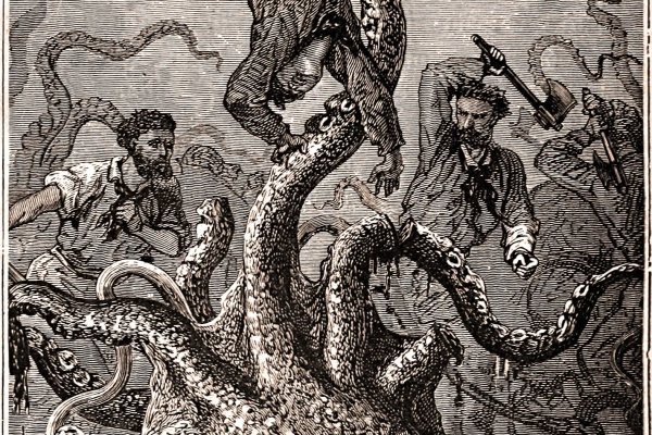 Kraken 19at