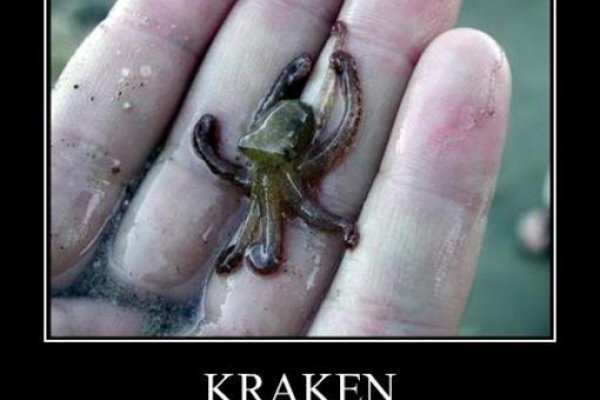 Solaris kraken