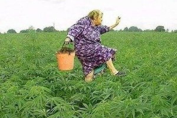 Официальная тор ссылка кракен сайта
