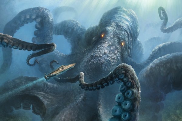 Kraken whitenet store