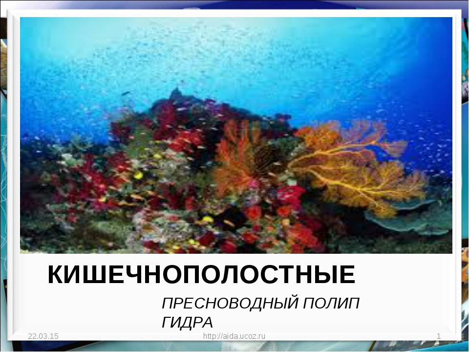 Кракен ссылка тор kr2web in