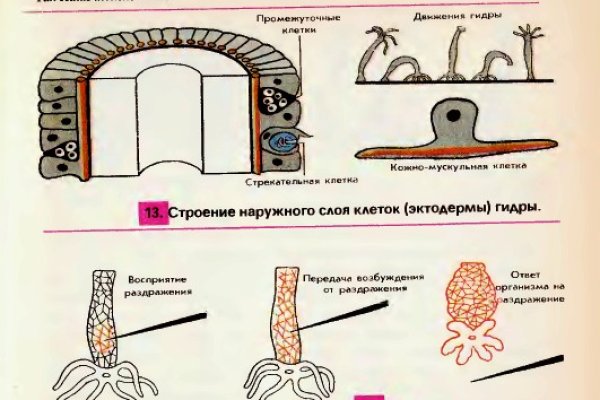 Кракен макет супернет